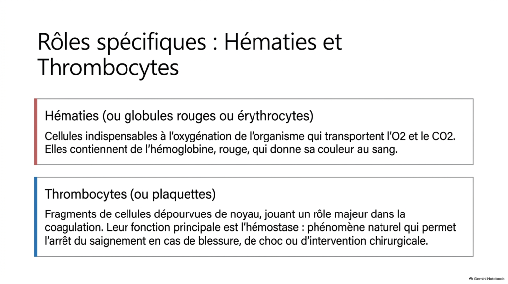 Composition du sang et de la lymphe_6