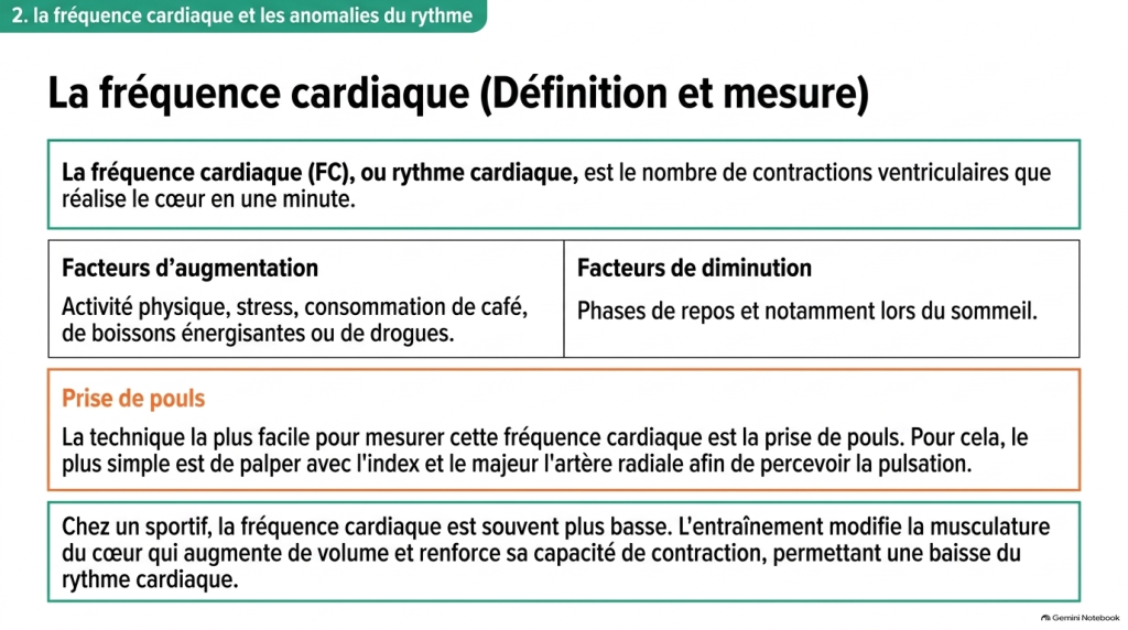 Contraction cardiaque, pression arterielle et anomalies du rythme_5
