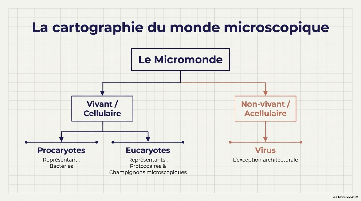 Principaux types de micro organismes_3