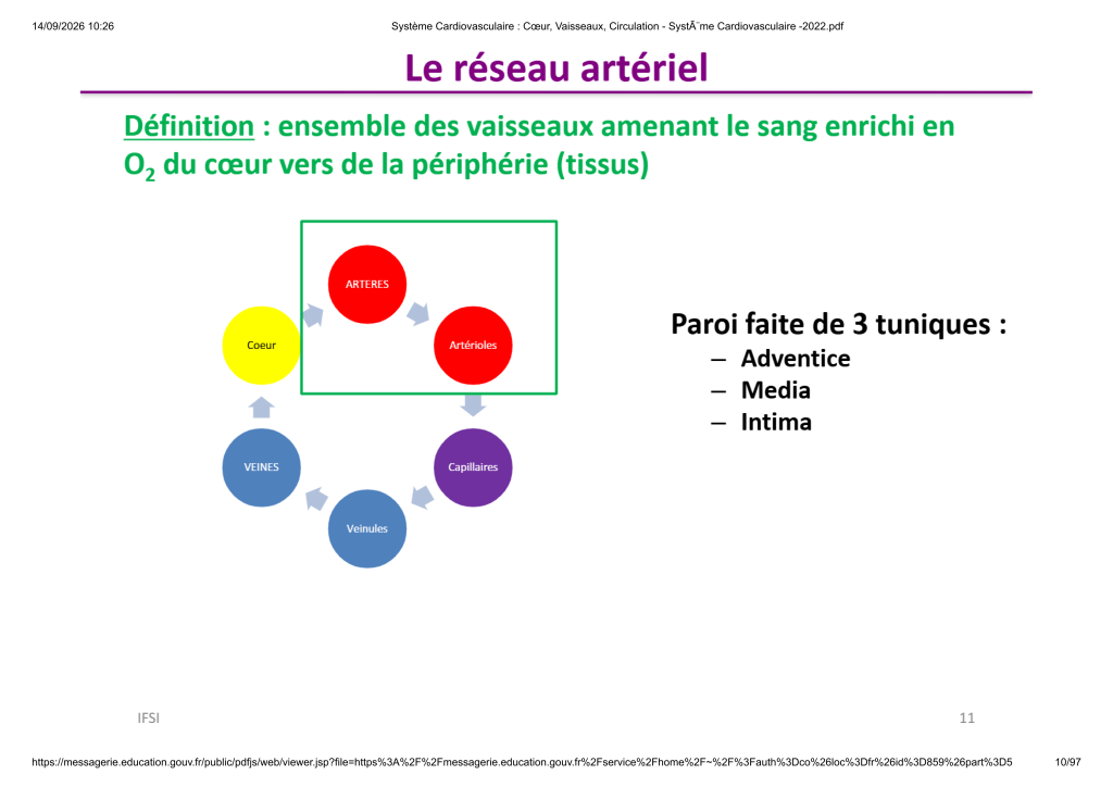 Système Cardiovasculaire _ Cœur, Vaisse...- SystÃ¨me Cardiovasculaire -2022_10
