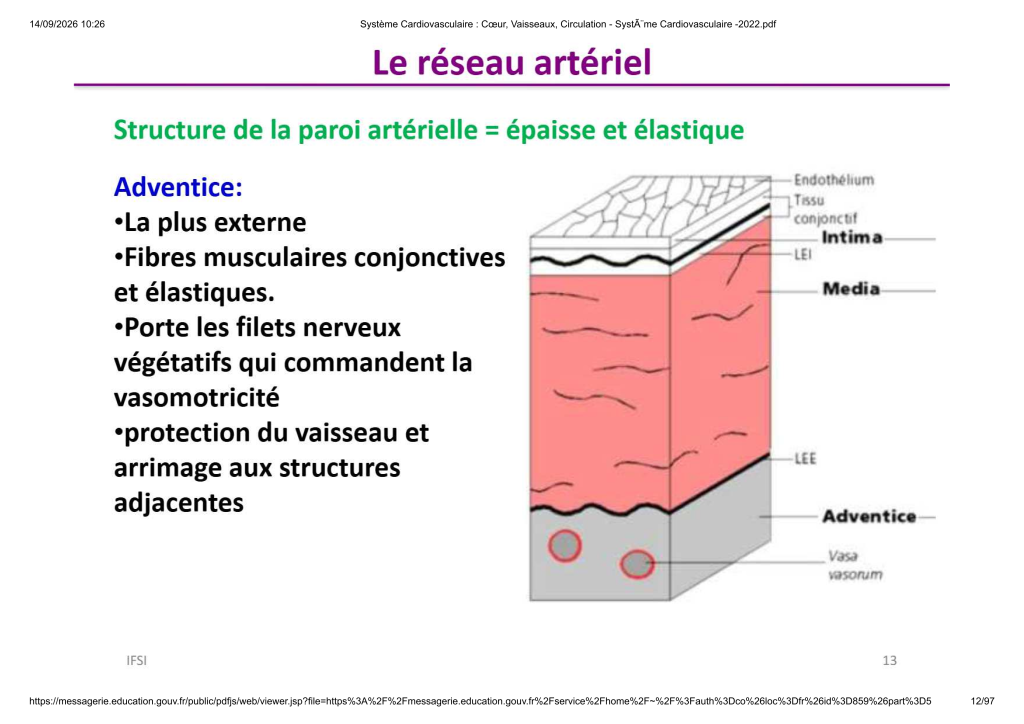 Système Cardiovasculaire _ Cœur, Vaisse...- SystÃ¨me Cardiovasculaire -2022_12