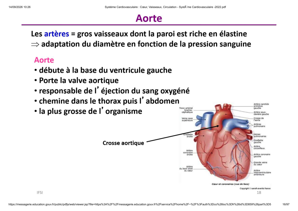 Système Cardiovasculaire _ Cœur, Vaisse...- SystÃ¨me Cardiovasculaire -2022_16
