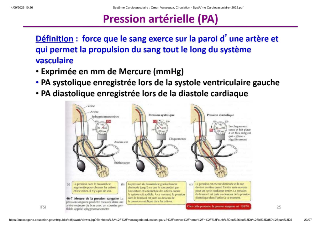 Système Cardiovasculaire _ Cœur, Vaisse...- SystÃ¨me Cardiovasculaire -2022_23