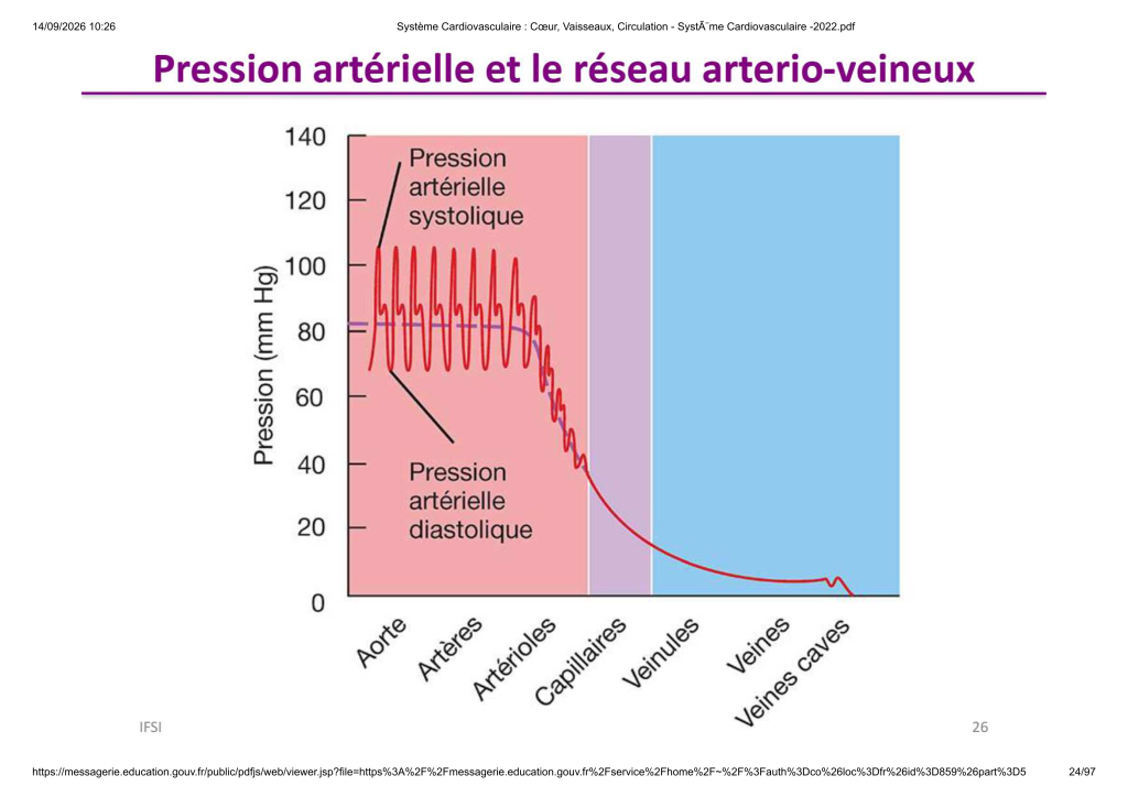 Système Cardiovasculaire _ Cœur, Vaisse...- SystÃ¨me Cardiovasculaire -2022_24