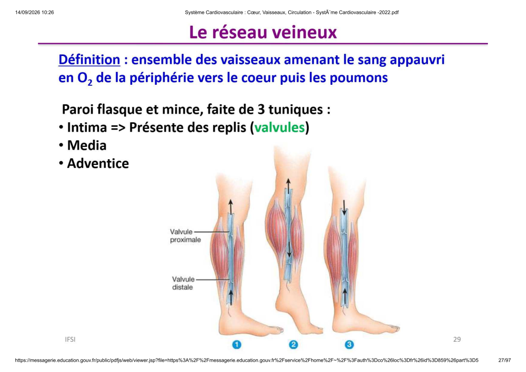 Système Cardiovasculaire _ Cœur, Vaisse...- SystÃ¨me Cardiovasculaire -2022_27