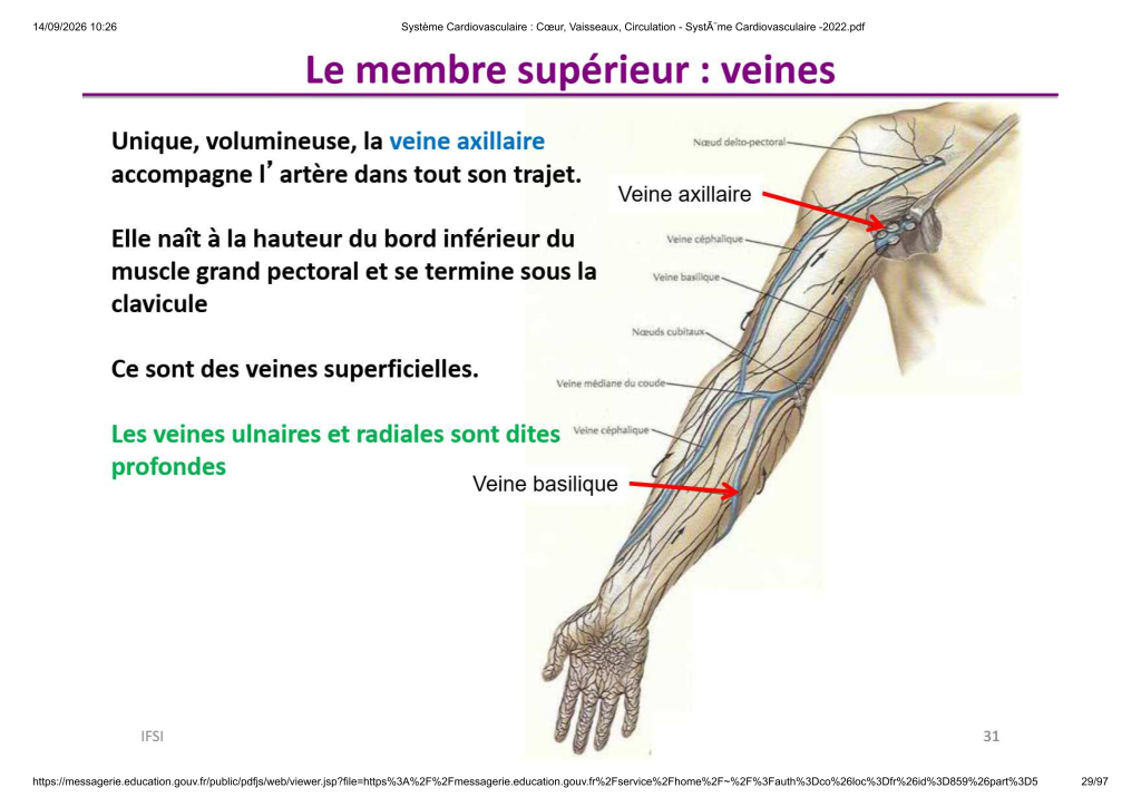 Système Cardiovasculaire _ Cœur, Vaisse...- SystÃ¨me Cardiovasculaire -2022_29