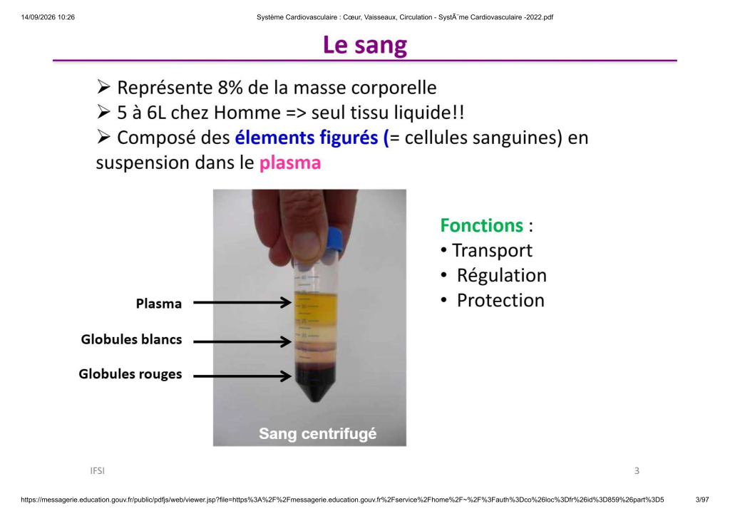 Système Cardiovasculaire _ Cœur, Vaisse...- SystÃ¨me Cardiovasculaire -2022_3