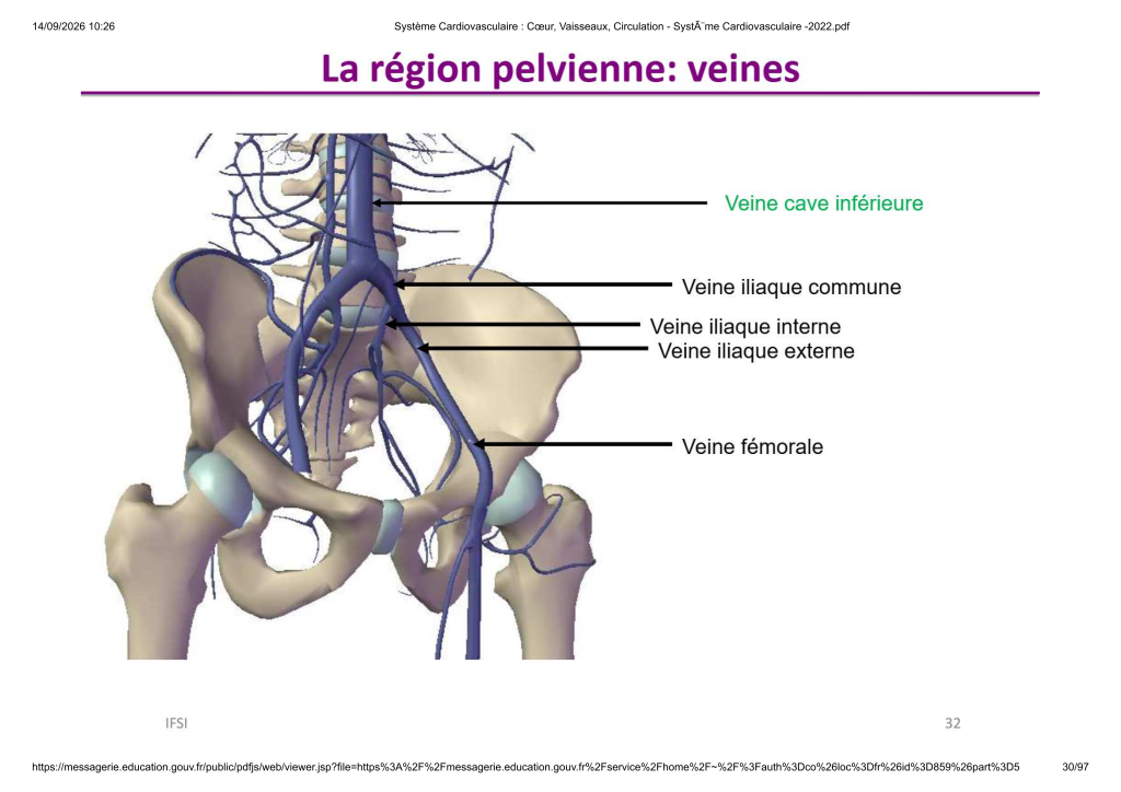 Système Cardiovasculaire _ Cœur, Vaisse...- SystÃ¨me Cardiovasculaire -2022_30