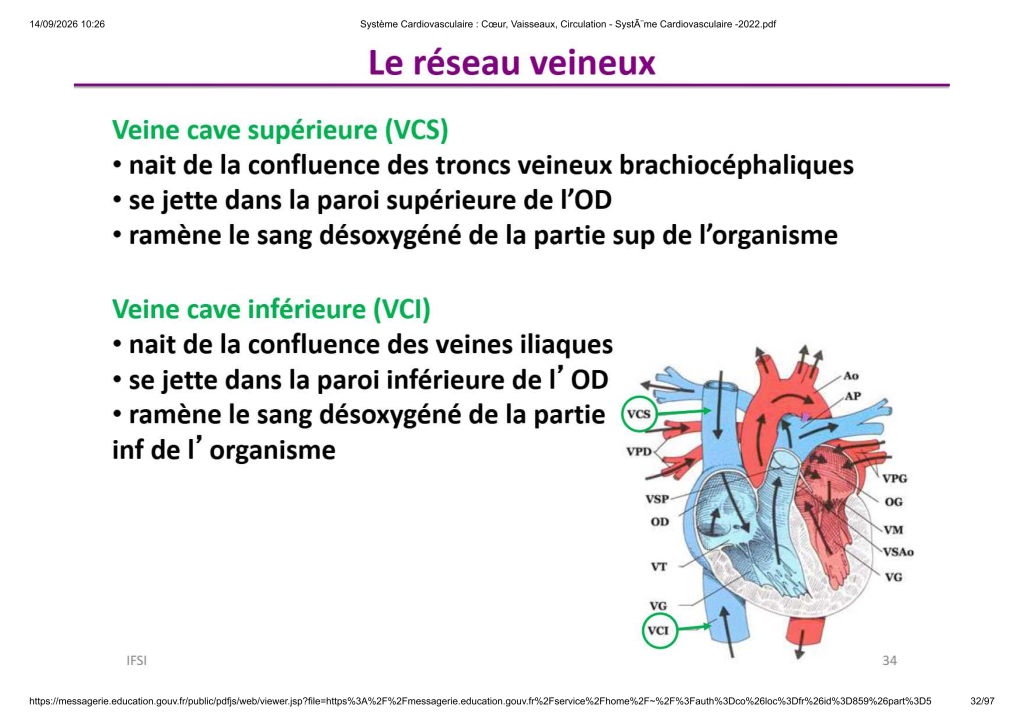 Système Cardiovasculaire _ Cœur, Vaisse...- SystÃ¨me Cardiovasculaire -2022_32