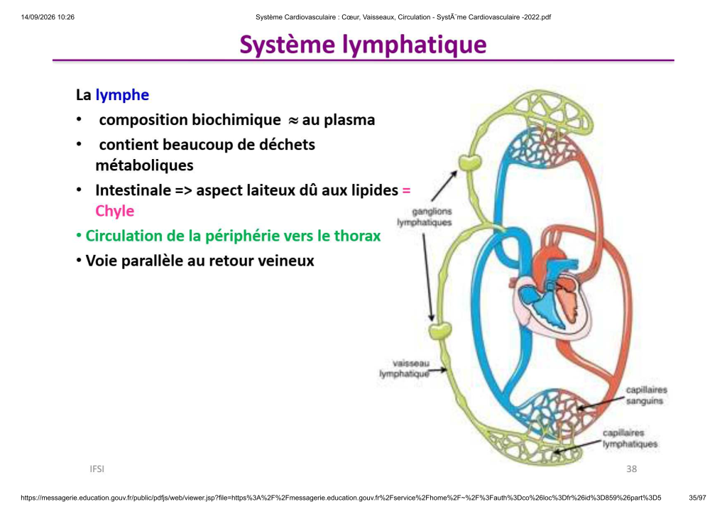 Système Cardiovasculaire _ Cœur, Vaisse...- SystÃ¨me Cardiovasculaire -2022_35
