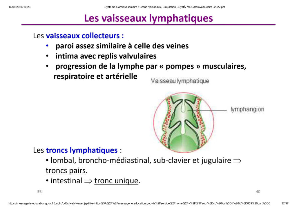 Système Cardiovasculaire _ Cœur, Vaisse...- SystÃ¨me Cardiovasculaire -2022_37