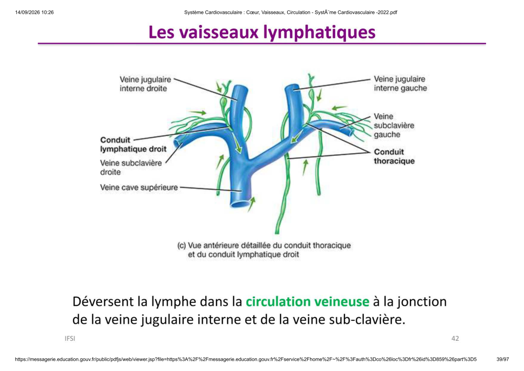 Système Cardiovasculaire _ Cœur, Vaisse...- SystÃ¨me Cardiovasculaire -2022_39