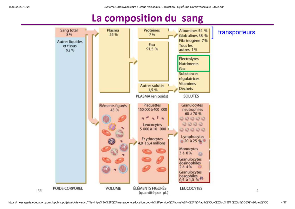 Système Cardiovasculaire _ Cœur, Vaisse...- SystÃ¨me Cardiovasculaire -2022_4
