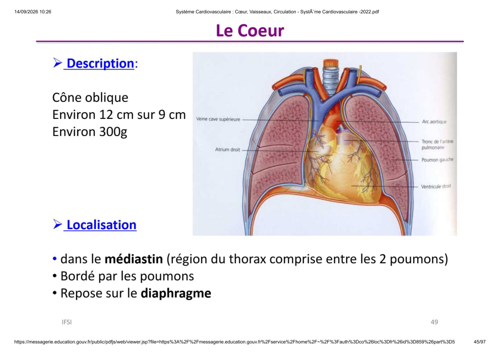 Système Cardiovasculaire _ Cœur, Vaisse...- SystÃ¨me Cardiovasculaire -2022_45