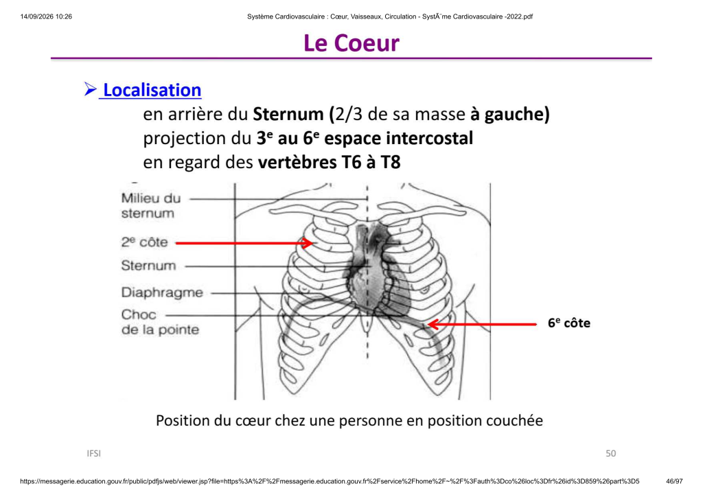 Système Cardiovasculaire _ Cœur, Vaisse...- SystÃ¨me Cardiovasculaire -2022_46