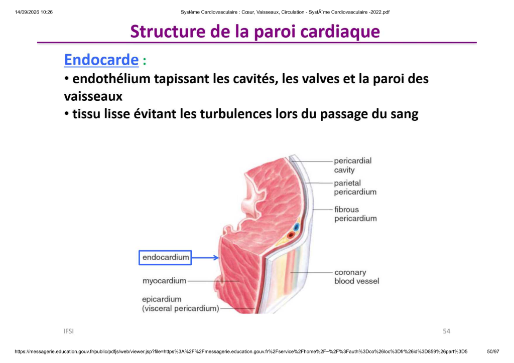 Système Cardiovasculaire _ Cœur, Vaisse...- SystÃ¨me Cardiovasculaire -2022_50
