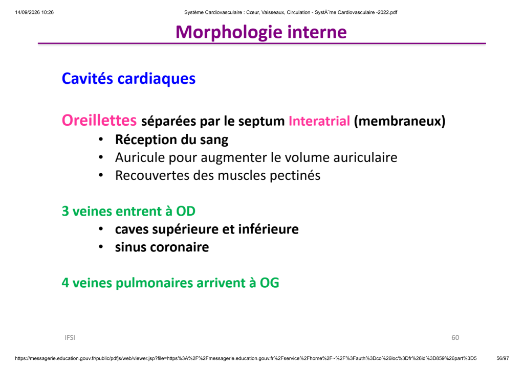 Système Cardiovasculaire _ Cœur, Vaisse...- SystÃ¨me Cardiovasculaire -2022_56