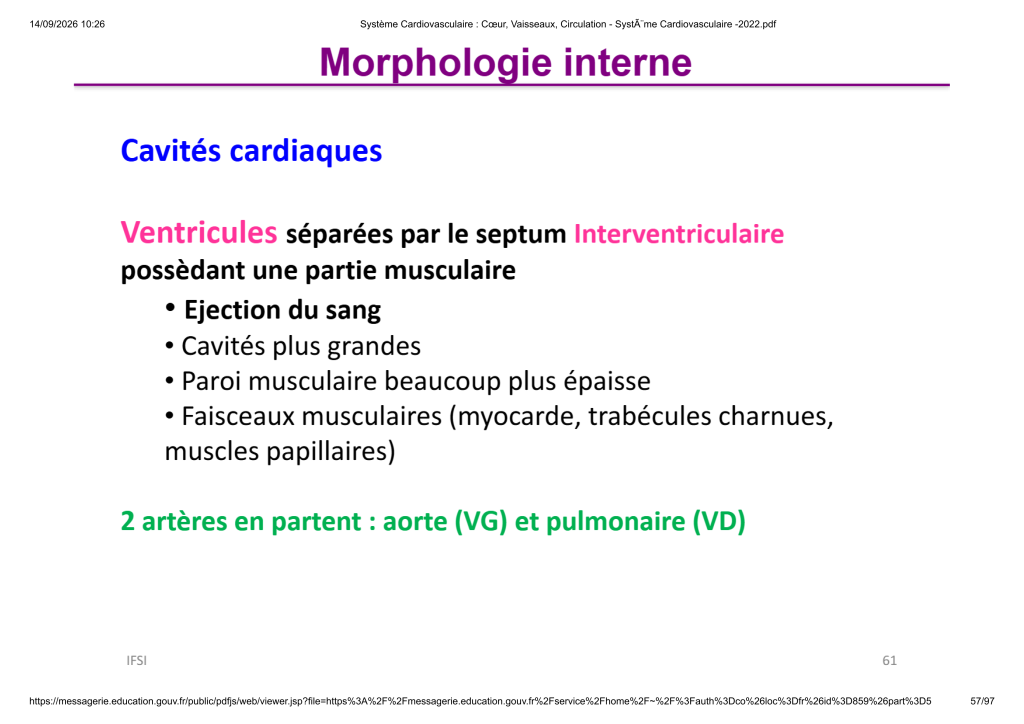 Système Cardiovasculaire _ Cœur, Vaisse...- SystÃ¨me Cardiovasculaire -2022_57