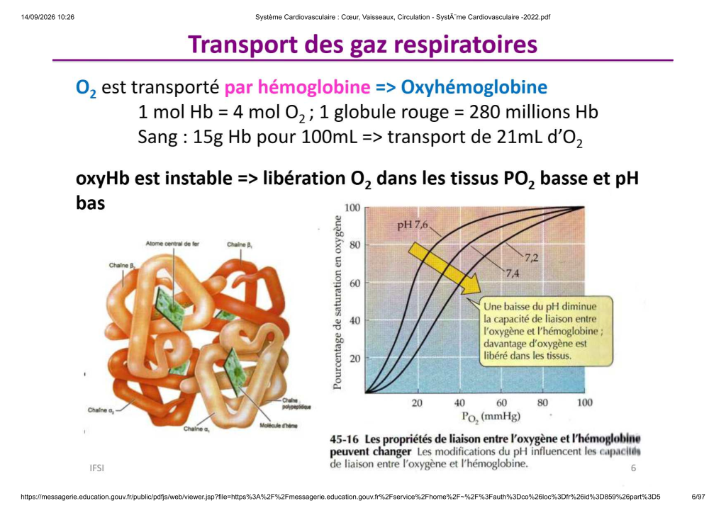 Système Cardiovasculaire _ Cœur, Vaisse...- SystÃ¨me Cardiovasculaire -2022_6