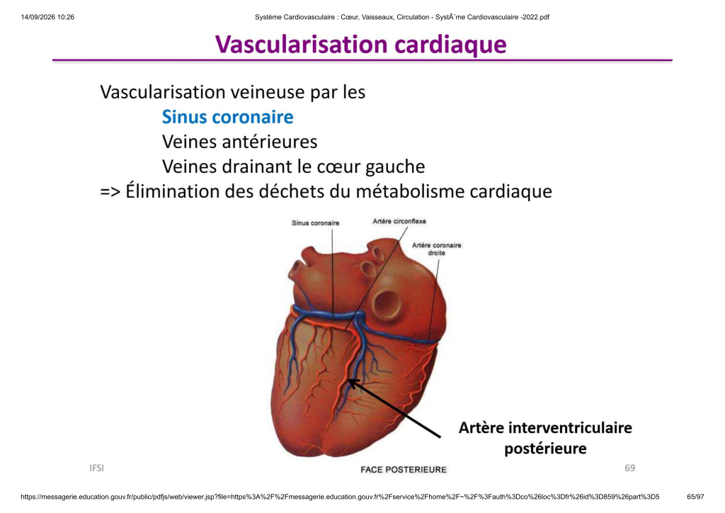 Système Cardiovasculaire _ Cœur, Vaisse...- SystÃ¨me Cardiovasculaire -2022_65