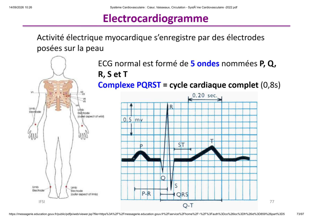 Système Cardiovasculaire _ Cœur, Vaisse...- SystÃ¨me Cardiovasculaire -2022_73