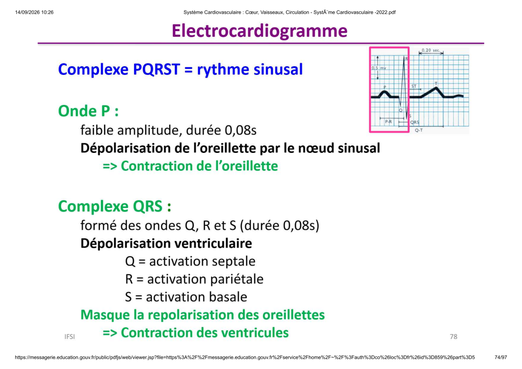 Système Cardiovasculaire _ Cœur, Vaisse...- SystÃ¨me Cardiovasculaire -2022_74