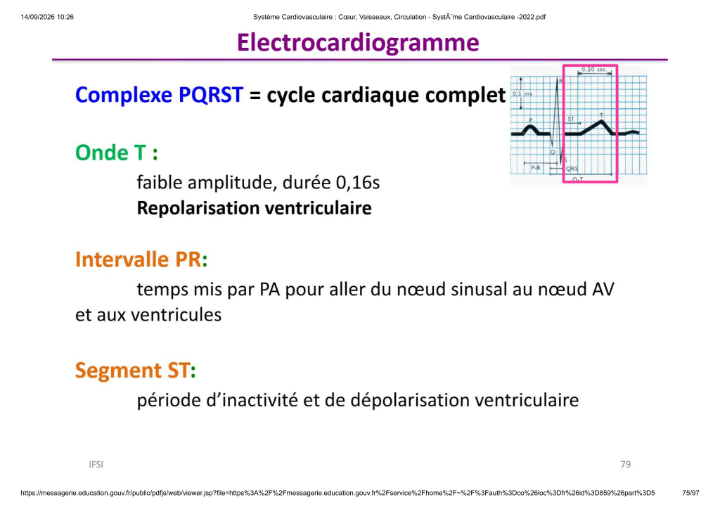 Système Cardiovasculaire _ Cœur, Vaisse...- SystÃ¨me Cardiovasculaire -2022_75