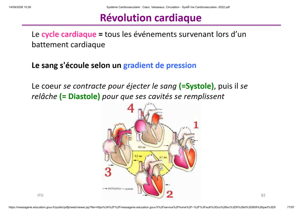 Système Cardiovasculaire _ Cœur, Vaisse...- SystÃ¨me Cardiovasculaire -2022_77