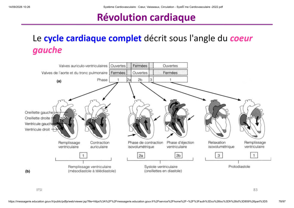 Système Cardiovasculaire _ Cœur, Vaisse...- SystÃ¨me Cardiovasculaire -2022_78