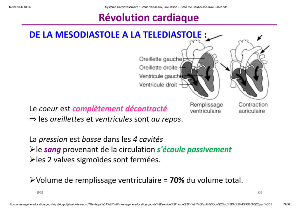 Système Cardiovasculaire _ Cœur, Vaisse...- SystÃ¨me Cardiovasculaire -2022_79