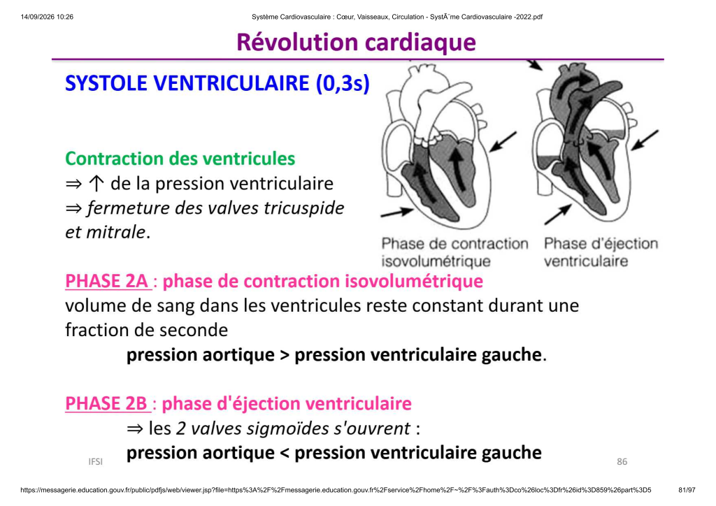 Système Cardiovasculaire _ Cœur, Vaisse...- SystÃ¨me Cardiovasculaire -2022_81