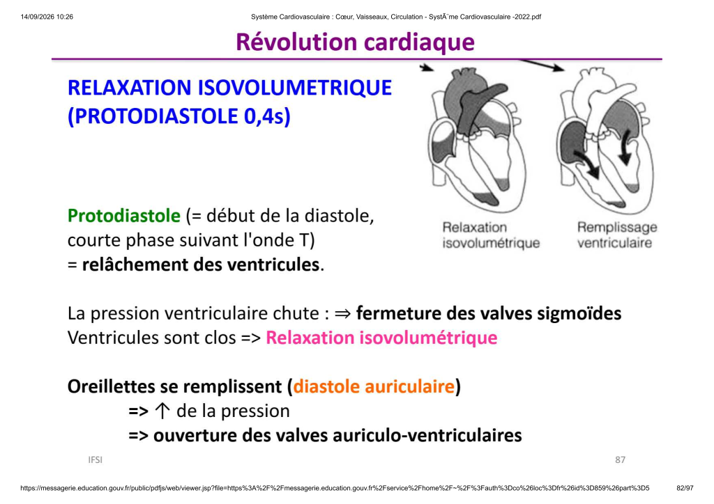Système Cardiovasculaire _ Cœur, Vaisse...- SystÃ¨me Cardiovasculaire -2022_82