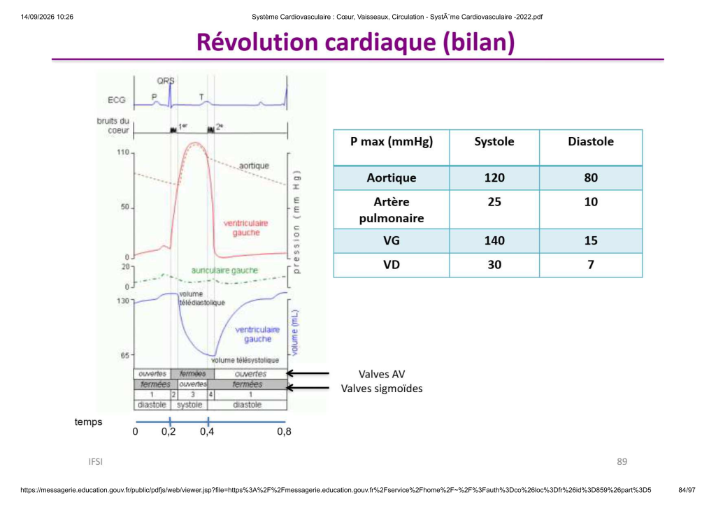 Système Cardiovasculaire _ Cœur, Vaisse...- SystÃ¨me Cardiovasculaire -2022_84