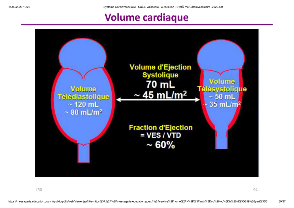 Système Cardiovasculaire _ Cœur, Vaisse...- SystÃ¨me Cardiovasculaire -2022_89