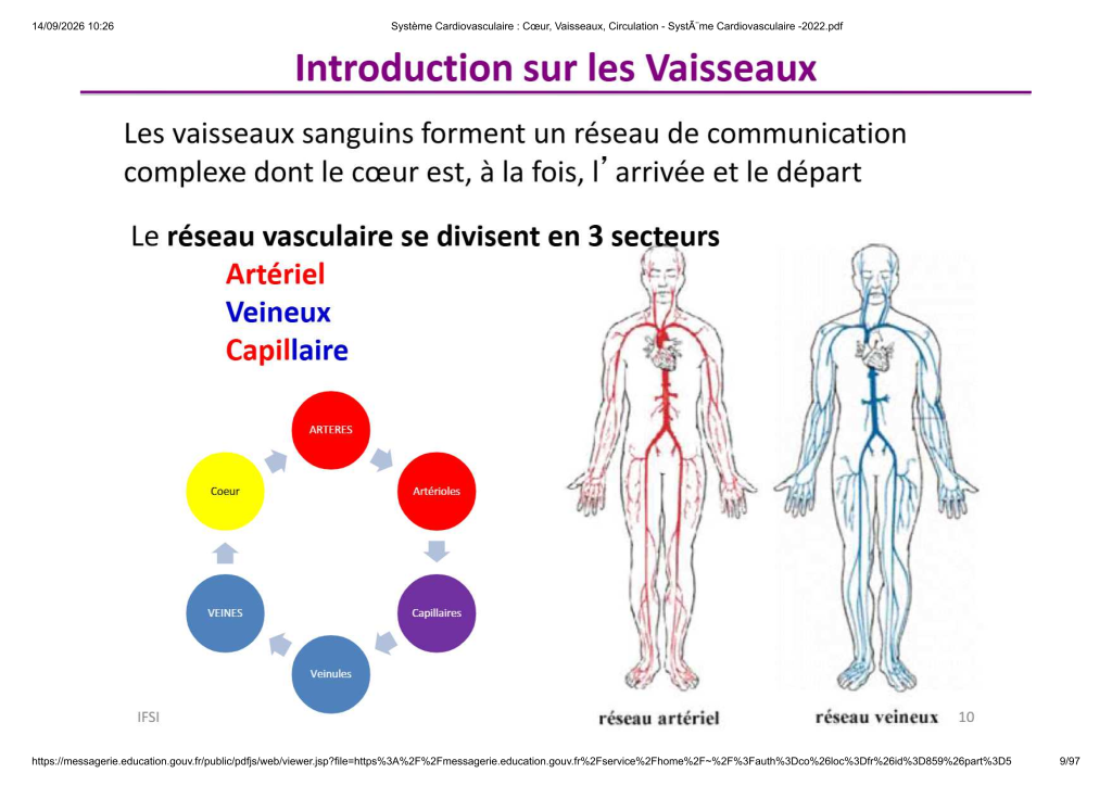 Système Cardiovasculaire _ Cœur, Vaisse...- SystÃ¨me Cardiovasculaire -2022_9