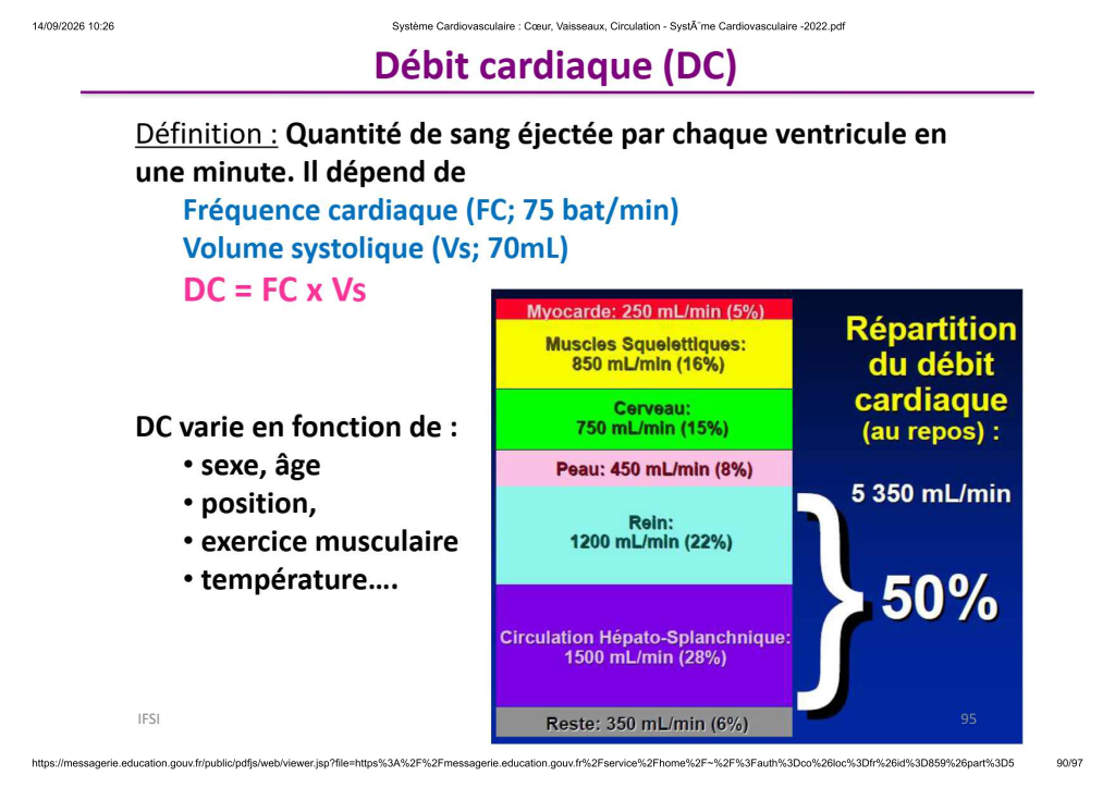 Système Cardiovasculaire _ Cœur, Vaisse...- SystÃ¨me Cardiovasculaire -2022_90
