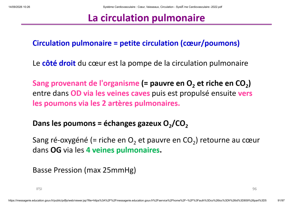 Système Cardiovasculaire _ Cœur, Vaisse...- SystÃ¨me Cardiovasculaire -2022_91