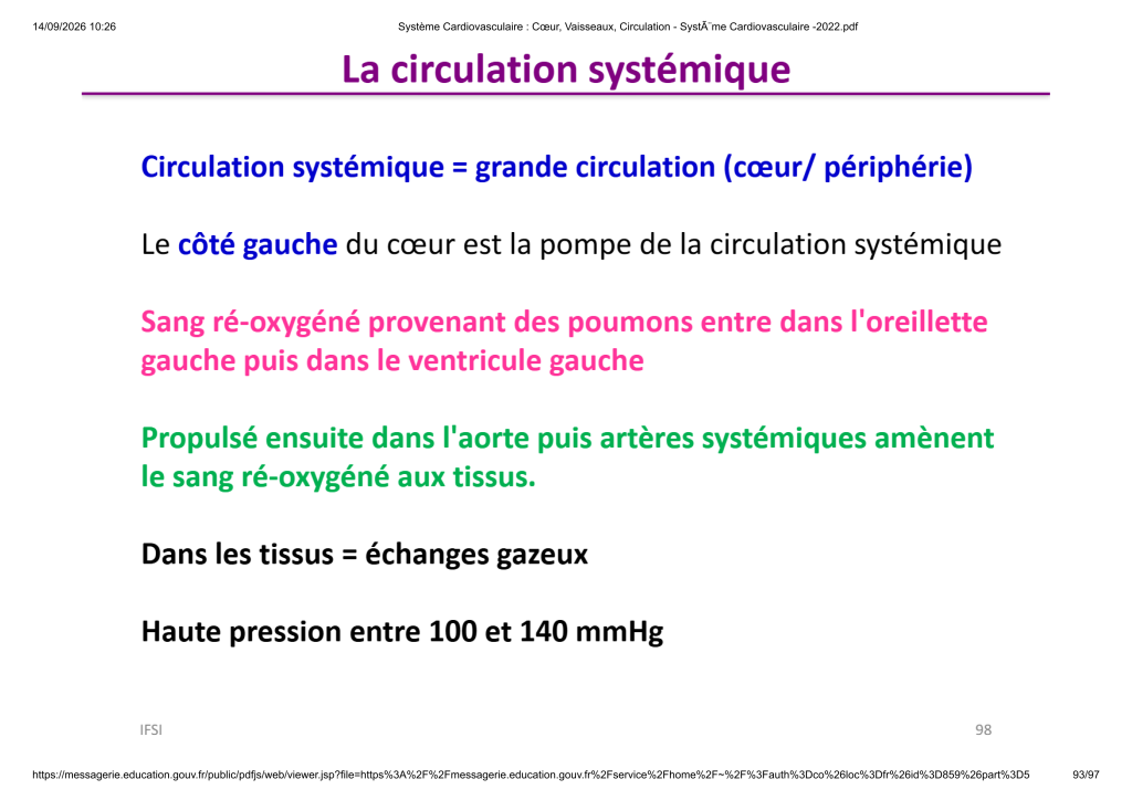 Système Cardiovasculaire _ Cœur, Vaisse...- SystÃ¨me Cardiovasculaire -2022_93