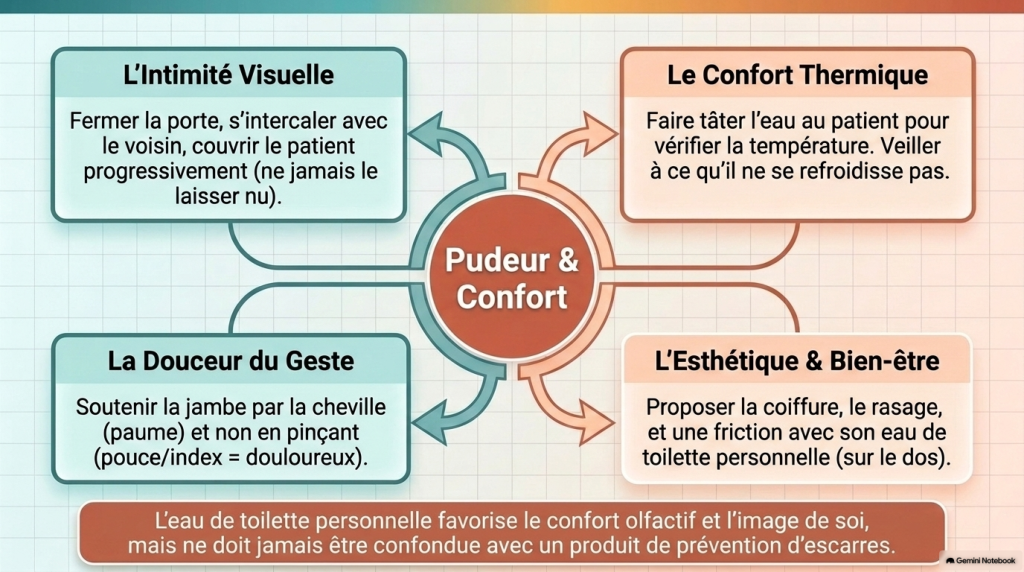 Toilette_12